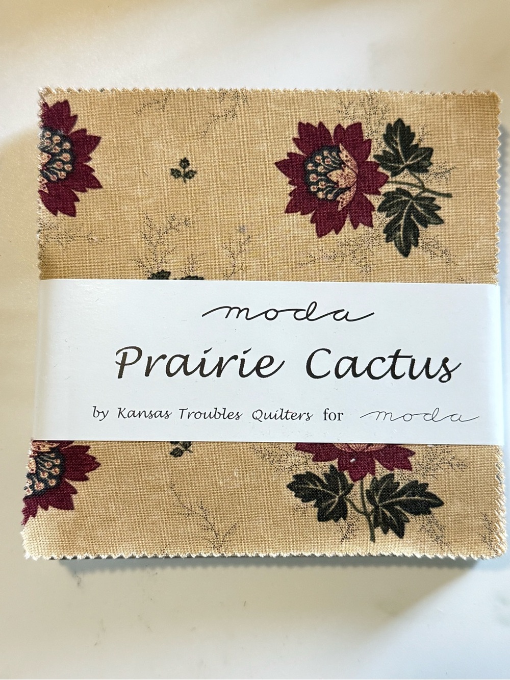 MODA Fabrics Prairie Cactus 5" Charm Pack